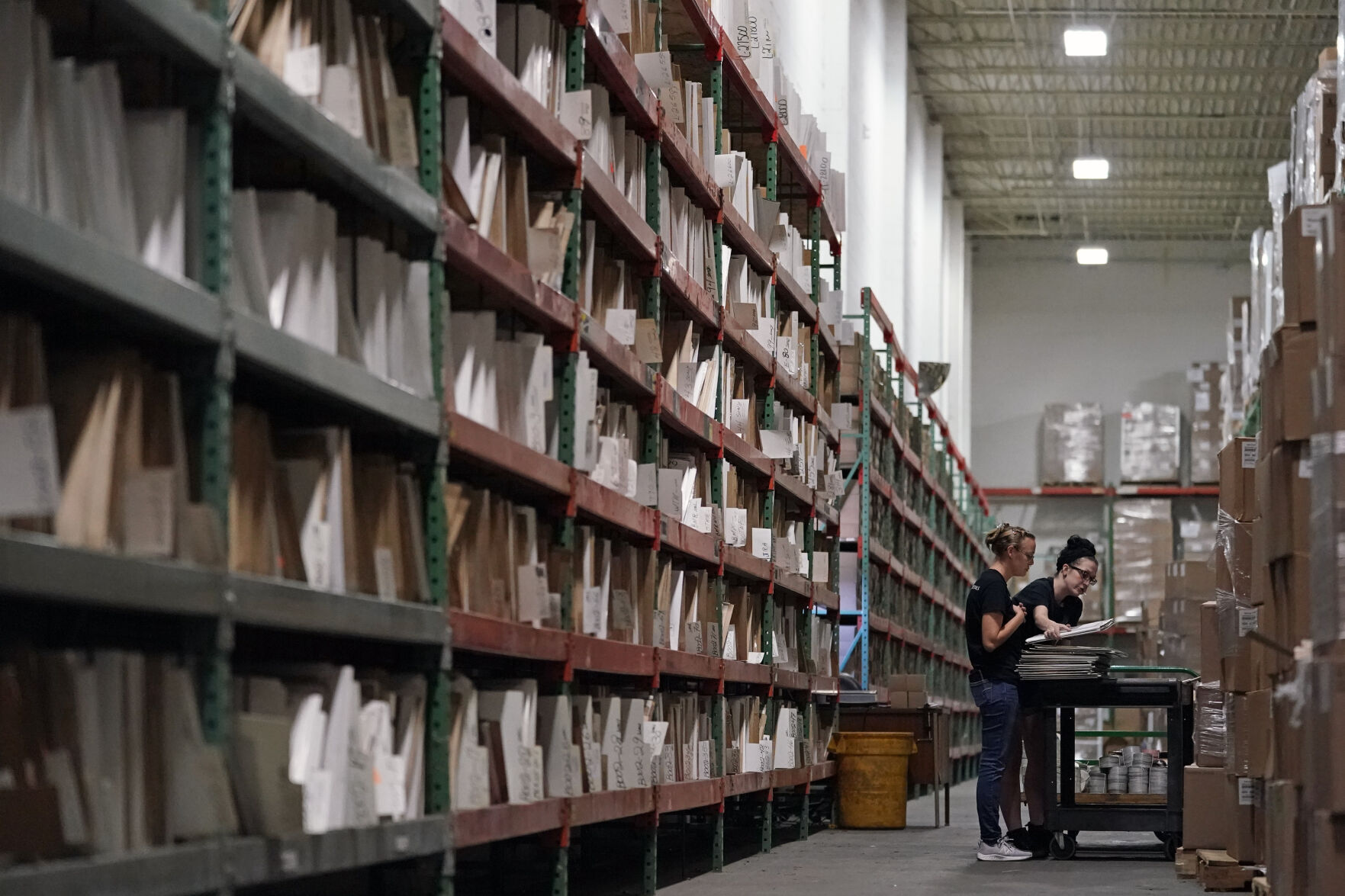 Vinyl Resurgence